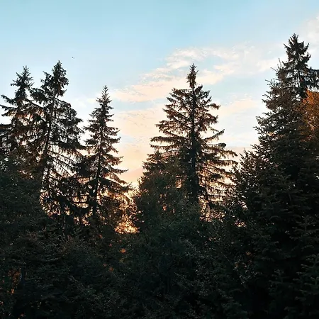 Aпартамент тити דירה פמפורובו