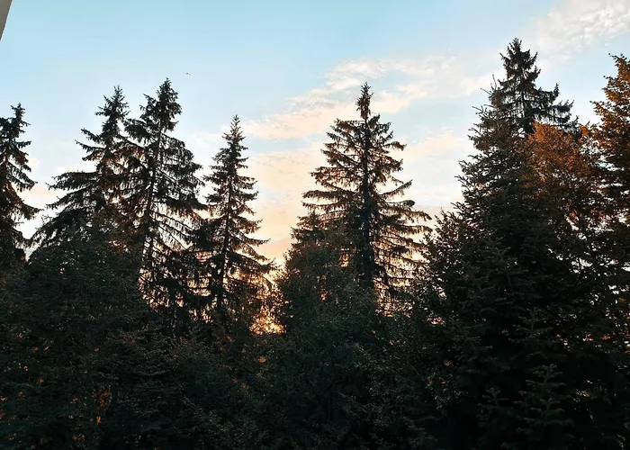 Aпартамент тити Apartament Pamporowo